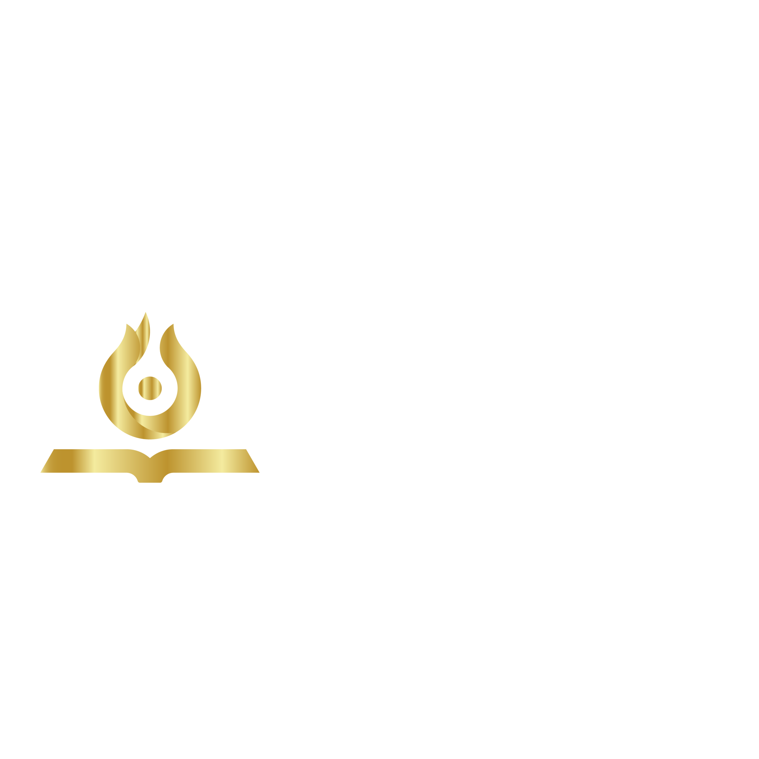 Georgia State Academy
